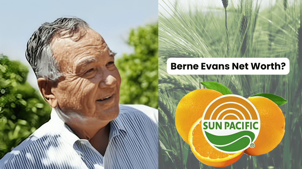 Berne Evans Net Worth